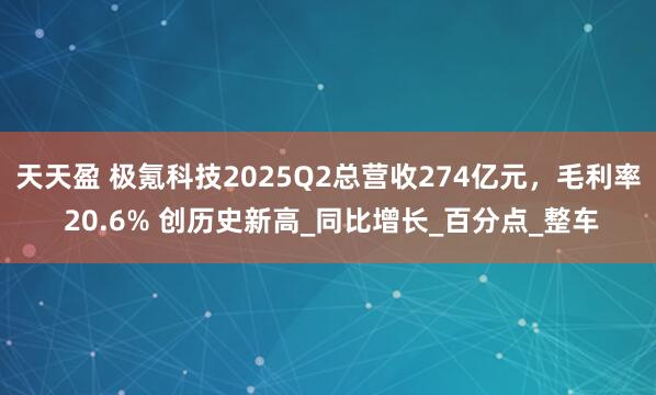 天天盈 极氪科技2025Q2总营收274亿元，毛利率 20.6% 创历史新高_同比增长_百分点_整车